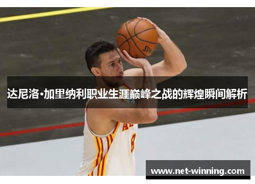 达尼洛·加里纳利职业生涯巅峰之战的辉煌瞬间解析 达尼洛·加里纳利职业生涯巅峰之战的辉煌瞬间解析