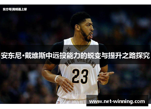 安东尼·戴维斯中远投能力的蜕变与提升之路探究 安东尼·戴维斯中远投能力的蜕变与提升之路探究