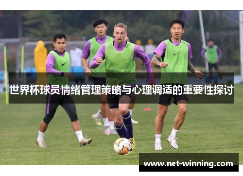 世界杯球员情绪管理策略与心理调适的重要性探讨
