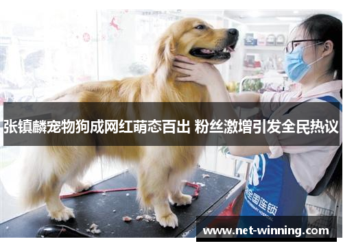 张镇麟宠物狗成网红萌态百出 粉丝激增引发全民热议 张镇麟宠物狗成网红萌态百出 粉丝激增引发全民热议