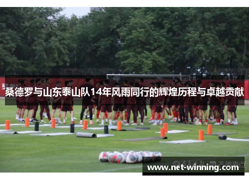 桑德罗与山东泰山队14年风雨同行的辉煌历程与卓越贡献 桑德罗与山东泰山队14年风雨同行的辉煌历程与卓越贡献