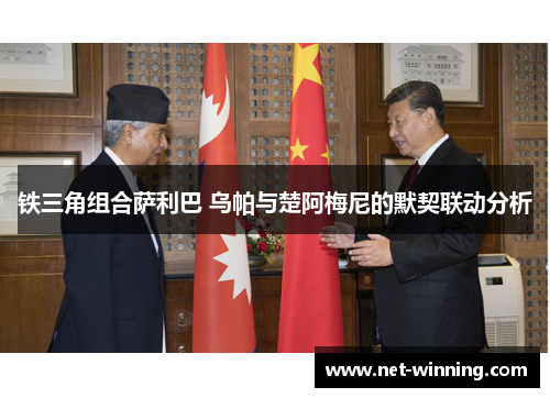 铁三角组合萨利巴 乌帕与楚阿梅尼的默契联动分析 铁三角组合萨利巴 乌帕与楚阿梅尼的默契联动分析