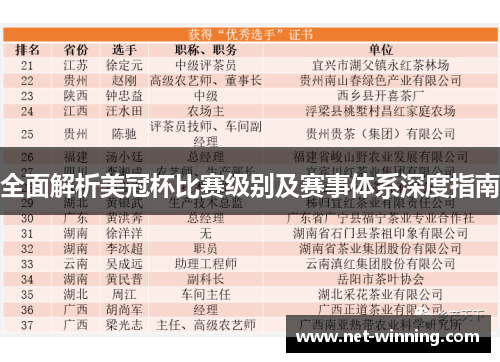 全面解析美冠杯比赛级别及赛事体系深度指南 全面解析美冠杯比赛级别及赛事体系深度指南