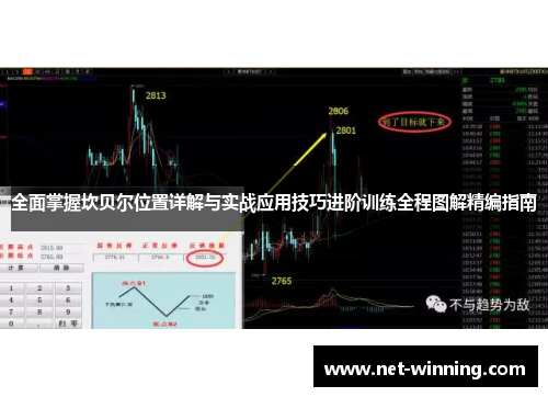 全面掌握坎贝尔位置详解与实战应用技巧进阶训练全程图解精编指南 全面掌握坎贝尔位置详解与实战应用技巧进阶训练全程图解精编指南