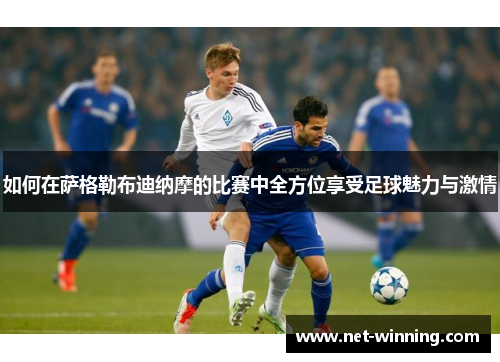 如何在萨格勒布迪纳摩的比赛中全方位享受足球魅力与激情 如何在萨格勒布迪纳摩的比赛中全方位享受足球魅力与激情