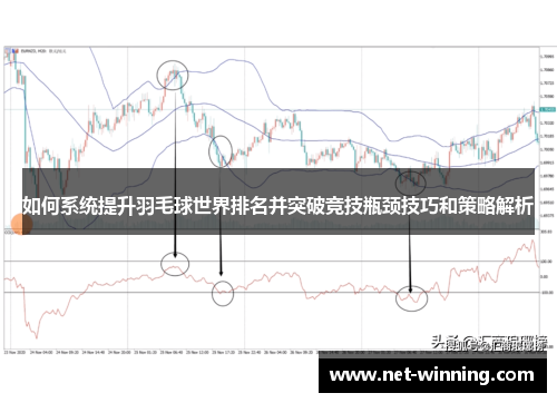 如何系统提升羽毛球世界排名并突破竞技瓶颈技巧和策略解析