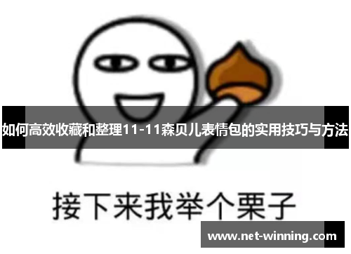 如何高效收藏和整理11-11森贝儿表情包的实用技巧与方法 如何高效收藏和整理11-11森贝儿表情包的实用技巧与方法