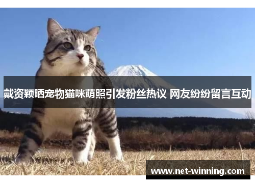 戴资颖晒宠物猫咪萌照引发粉丝热议 网友纷纷留言互动